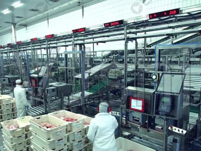 做好十萬級食品潔凈車間的裝修設計，以肉制品火腿腸車間為例 CEIDI西遞